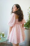 Strawberry Shortcake Cottage Dress